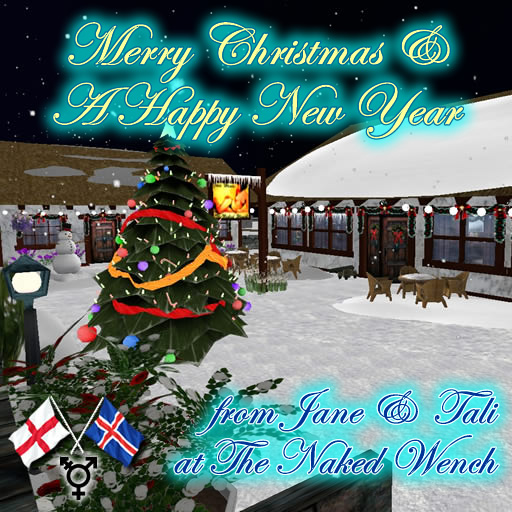 Wishing you a merry Christmas and a happy New Year from Jane and Tali at The Naked Wench